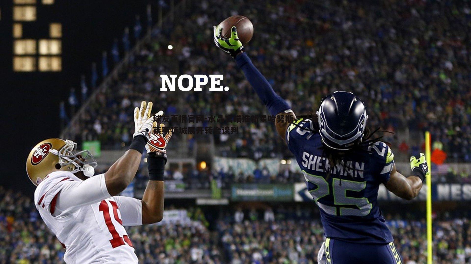 水晶宫瞄准新星哈努斯,已与莱斯特城展开转会谈判