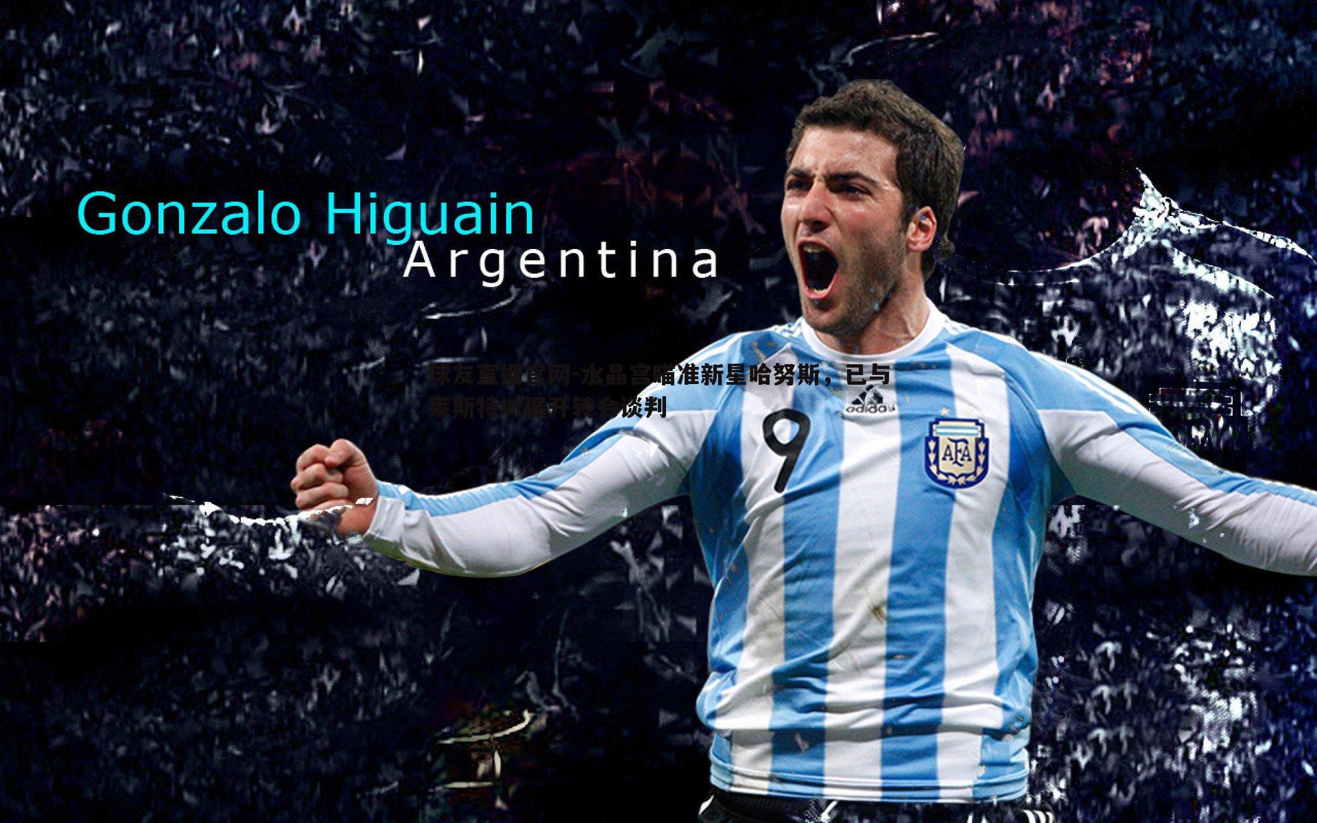 水晶宫瞄准新星哈努斯,已与莱斯特城展开转会谈判